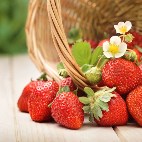 Korg med jordgubbe på bord — Stockfoto