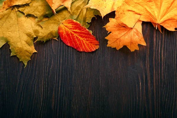 Hoja de otoño sobre fondo de madera — Foto de Stock