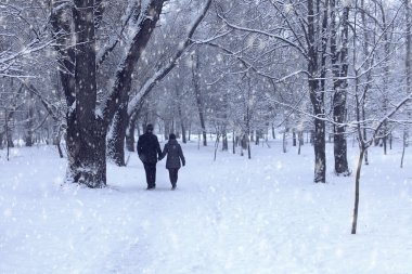 çiftler kış ormanında 