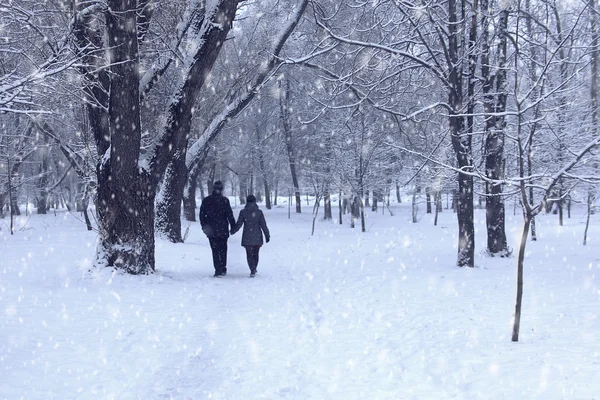çiftler kış ormanında 
