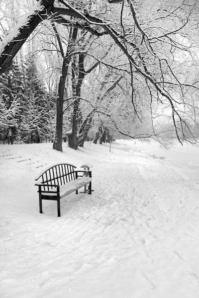 Um banco vazio em uma floresta nevada de inverno — Fotografia de Stock