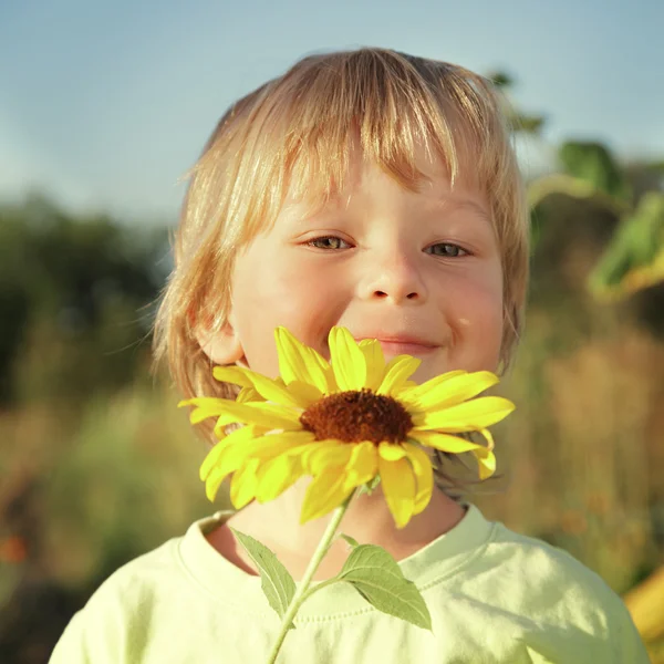 Lycklig pojke med solros — Stockfoto