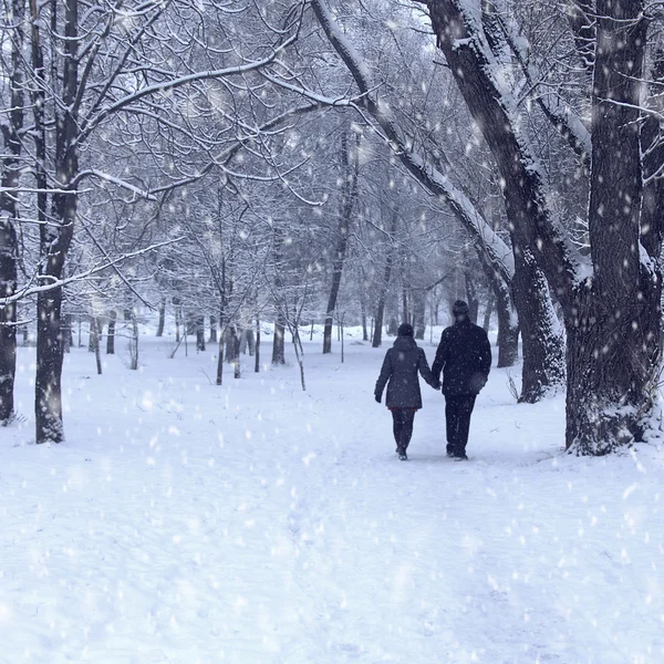 Pár v zimním lese — Stock fotografie