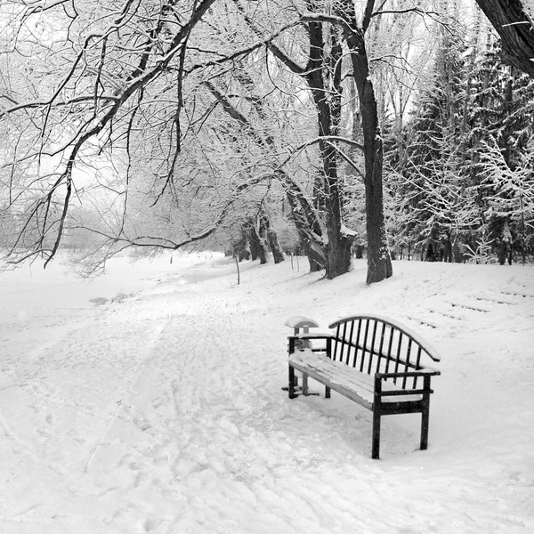 Um banco vazio em uma floresta nevada de inverno — Fotografia de Stock