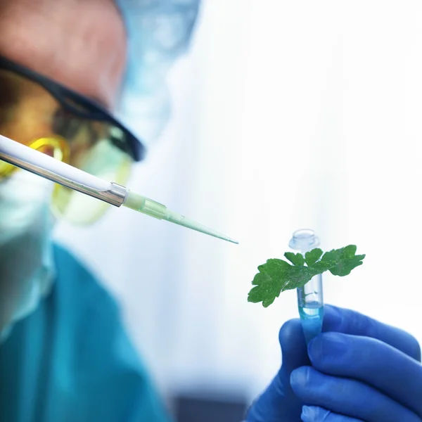 Diseased plant in test tube — Stock Photo, Image