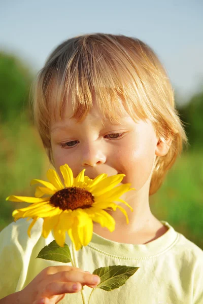 Счастливый мальчик с подсолнухом — стоковое фото