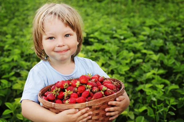 Boy with basket of strawberry — Stock Photo, Image