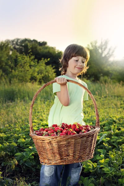 Jongen met mandje van aardbei — Stockfoto