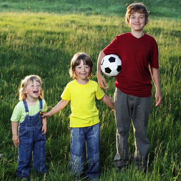 Boom broers buiten spelen — Stockfoto