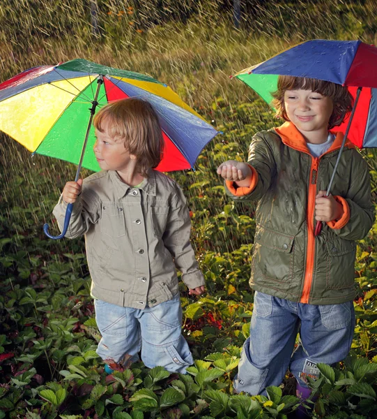 Två bröder spela i regn — Stockfoto