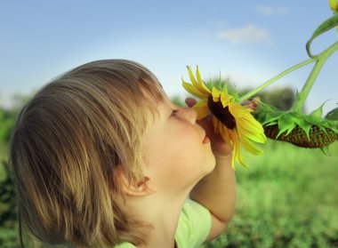 Ayçiçeği ile mutlu çocuk