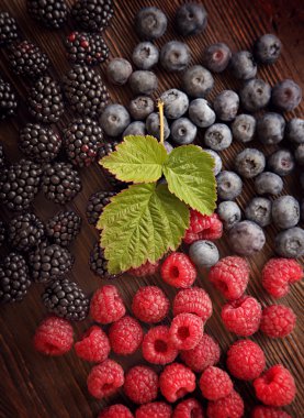 Ahududu ve böğürtlen yaban mersini