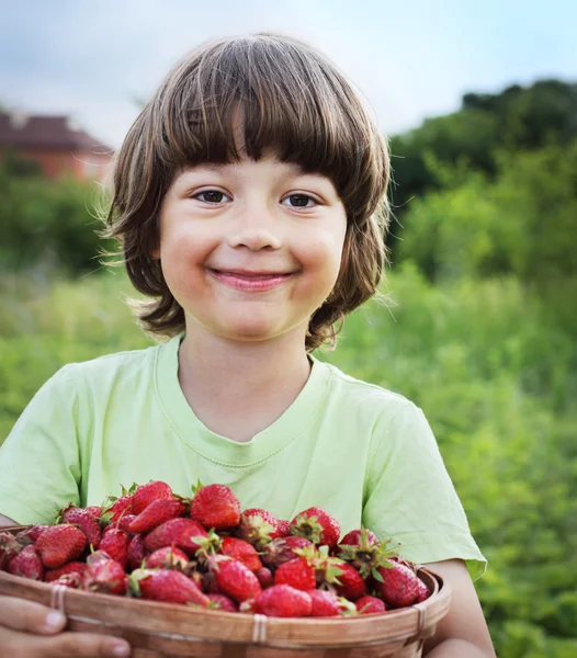 Menino com cesta de morango — Fotografia de Stock