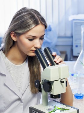 kimyasal laboratuvar bilim adamı