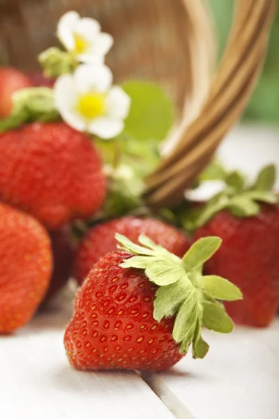 Korg med jordgubbe — Stockfoto