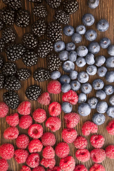 Himbeeren und Brombeeren — Stockfoto