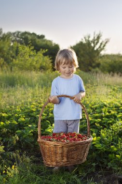 neşeli çocuk ile meyve sepeti