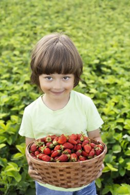 neşeli çocuk ile meyve sepeti