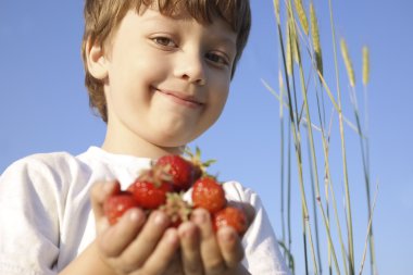 çilek çocuk elinde avuç