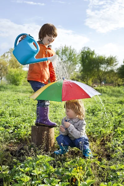 Två bröder spela i regn — Stockfoto