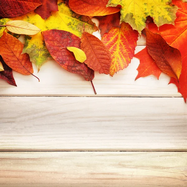 Hoja de otoño sobre fondo de madera — Foto de Stock