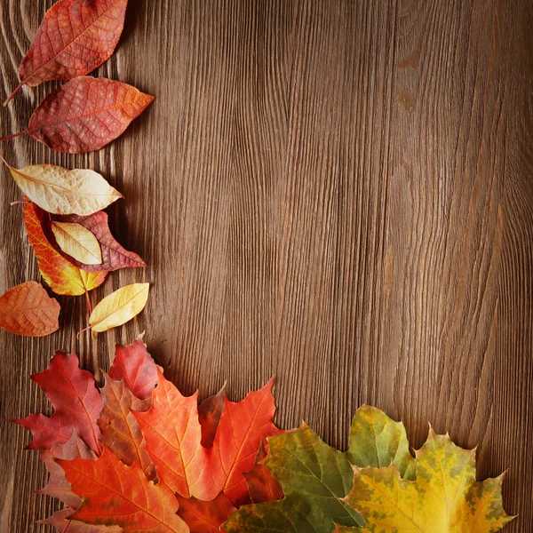 Hoja de otoño sobre fondo de madera —  Fotos de Stock