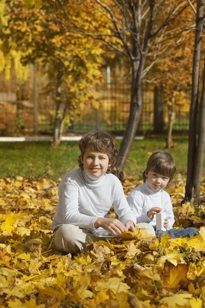 Happy boys v podzimním parku — Stock fotografie