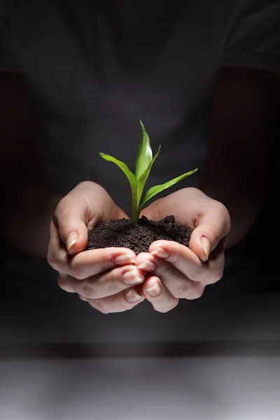 Ontkiemen in vrouw hand — Stockfoto