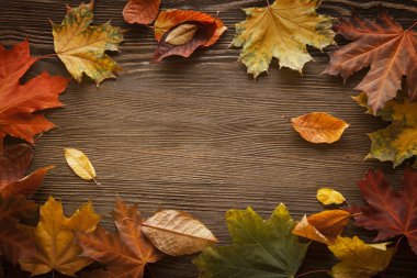 ahşap zemin üzerinde sonbahar yaprak