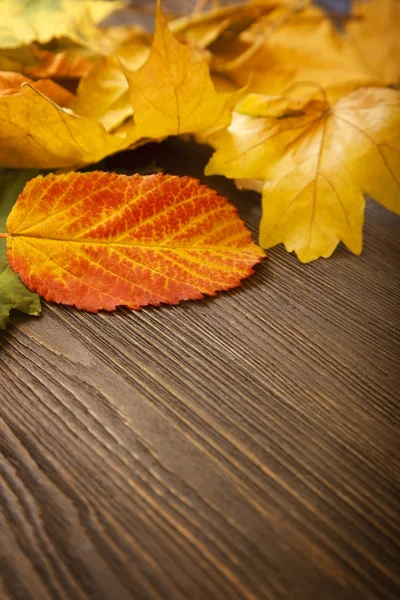 Folha de outono no fundo de madeira — Fotografia de Stock