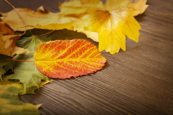 Hoja de otoño sobre fondo de madera — Foto de Stock