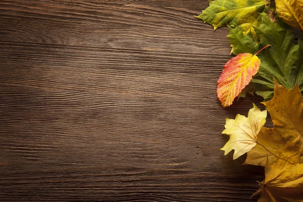 Hoja de otoño sobre fondo de madera — Foto de Stock