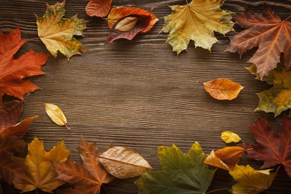 Hoja de otoño sobre fondo de madera — Foto de Stock