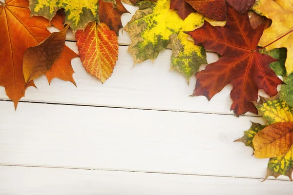 Hoja de otoño sobre fondo de madera — Foto de Stock