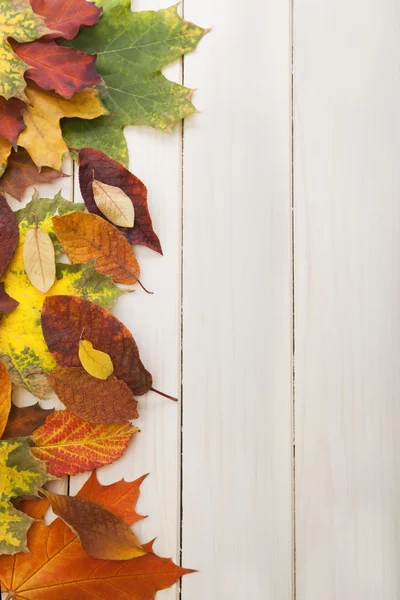 Hoja de otoño sobre fondo de madera — Foto de Stock