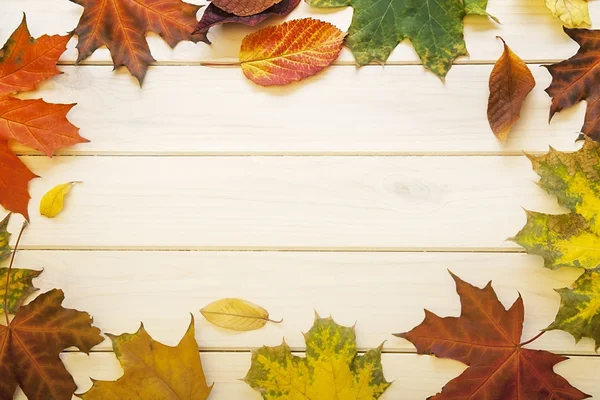 Hoja de otoño — Foto de Stock