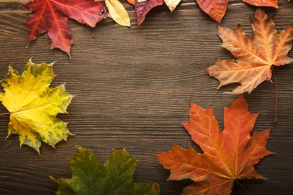 Feuille d'automne sur fond bois — Photo