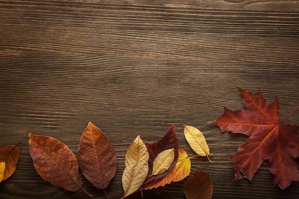 Hoja de otoño sobre fondo de madera — Foto de Stock