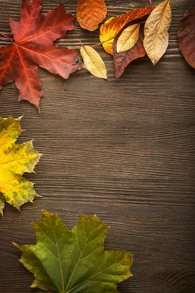 Jesień liść na tle drewna — Zdjęcie stockowe