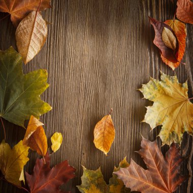 ahşap zemin üzerinde sonbahar yaprak