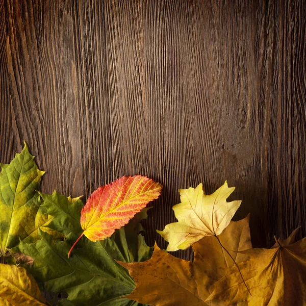 Hoja de otoño sobre fondo de madera — Foto de Stock