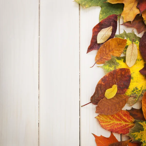 Hoja de otoño sobre fondo de madera — Foto de Stock