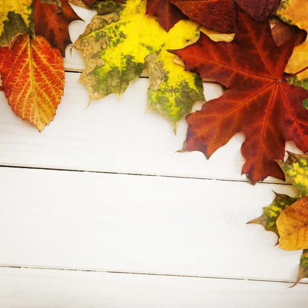 Hoja de otoño sobre fondo de madera — Foto de Stock