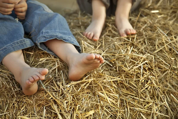 Children's voeten in het hooi — Stockfoto