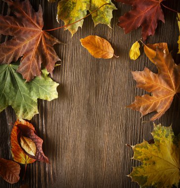 ahşap zemin üzerinde sonbahar yaprak