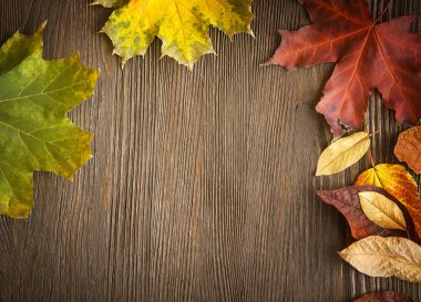 ahşap zemin üzerinde sonbahar yaprak