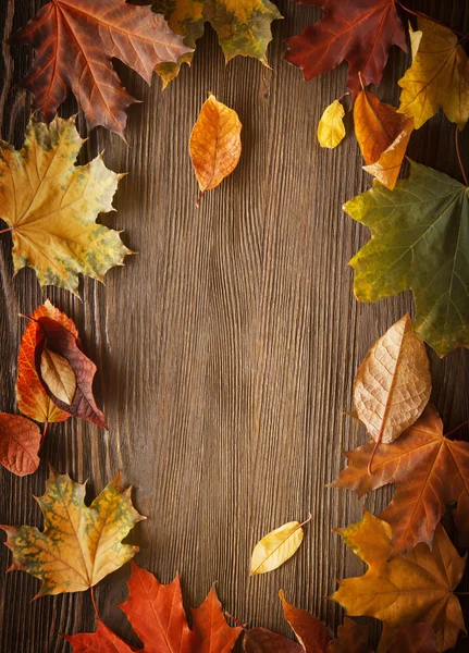 Hoja de otoño sobre fondo de madera — Foto de Stock