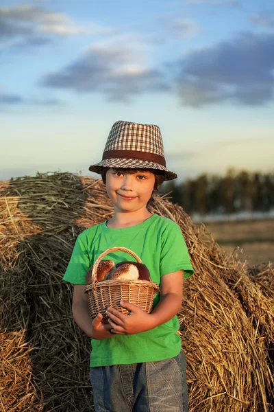 小男孩提着篮子的包子在干草堆中一个字段的背景 — 图库照片