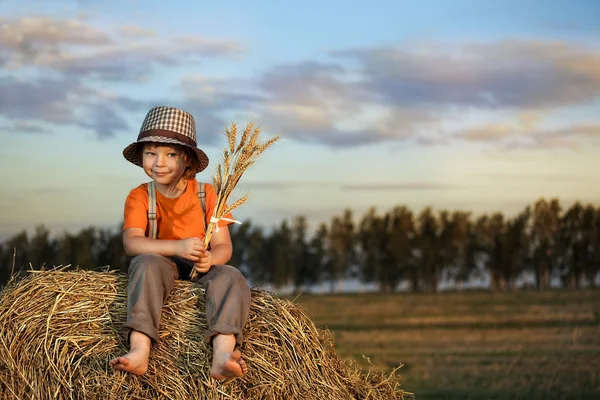 Çocuk alanında samanlıkta — Stok fotoğraf