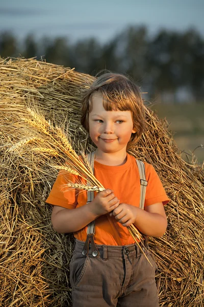 Jongen in een hooiberg in het veld — Stockfoto